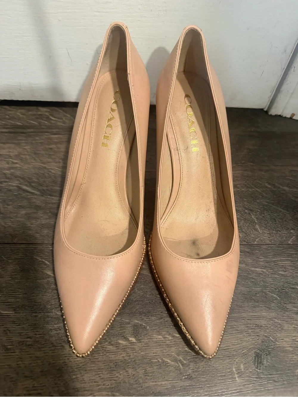 Coach Nude Pointed-Toe Stiletto Heels with Gold Trim